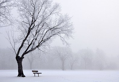 Winter scene, Assiniboine Park- Photo Credits Brent Bellamy